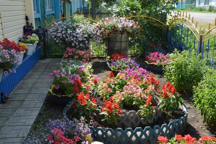 conception de Colomb