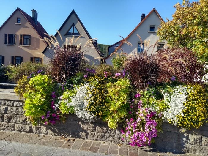 conception de Colomb