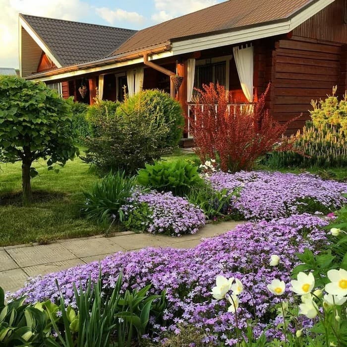 conception de Colomb