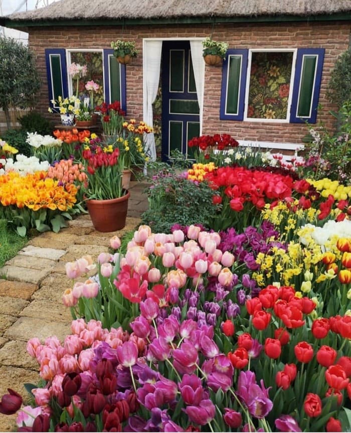 conception de Colomb