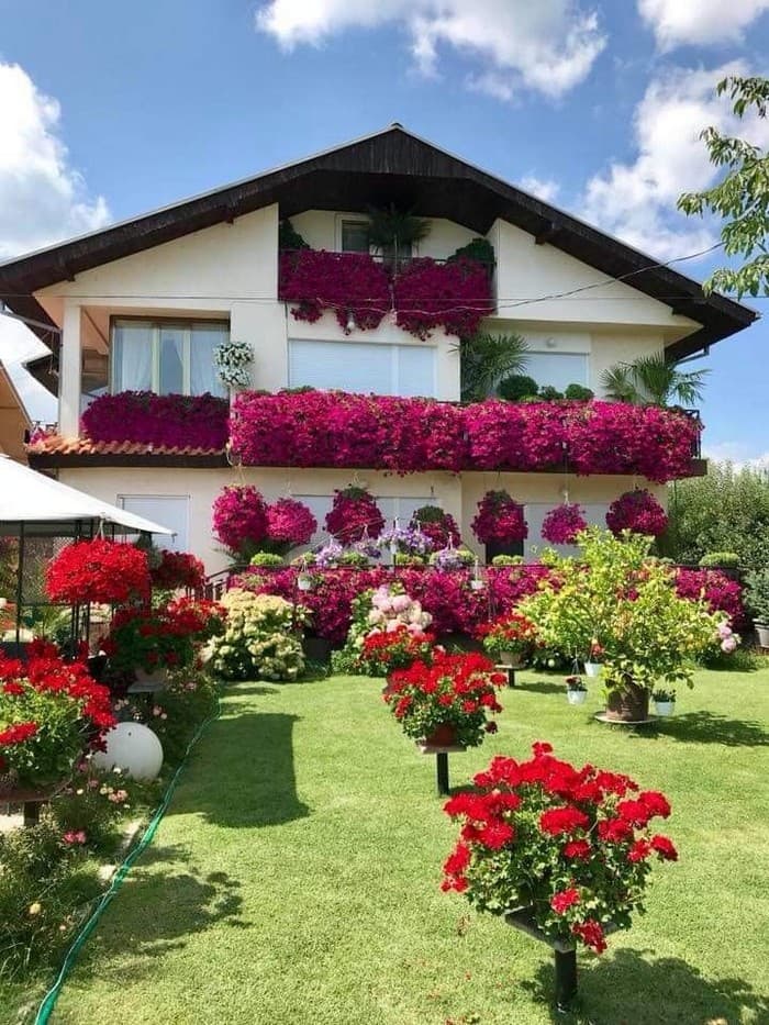 conception de Colomb