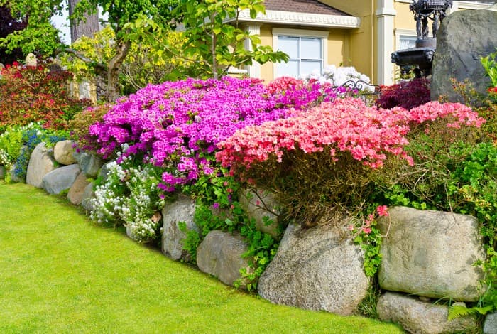 conception de Colomb