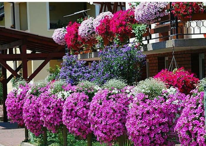 conception de Colomb