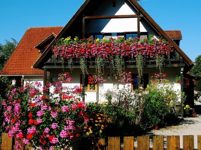 conception de Colomb