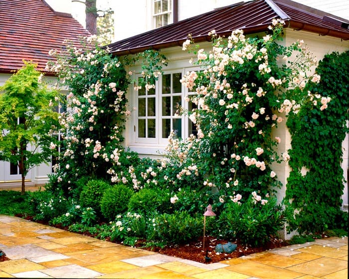 conception de Colomb