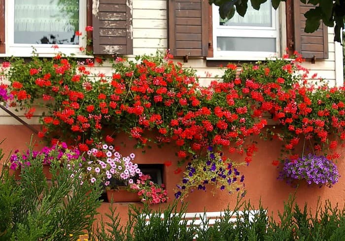 conception de Colomb