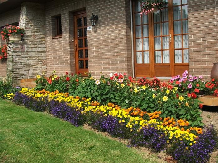 conception de parterre de fleurs