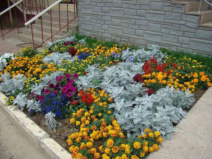 conception de parterre de fleurs