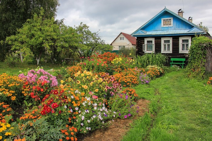 conception de parterre de fleurs