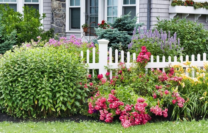 conception de parterre de fleurs