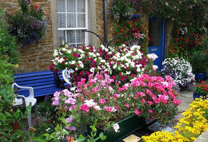 conception de parterre de fleurs