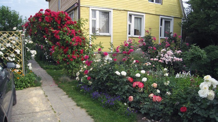 conception de parterre de fleurs