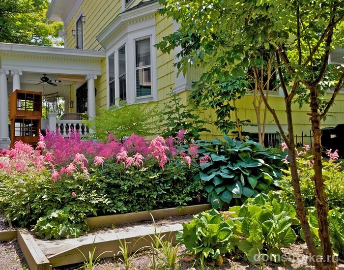 conception de parterre de fleurs