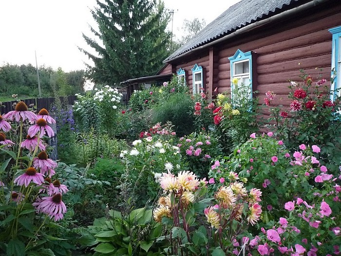 conception de parterre de fleurs
