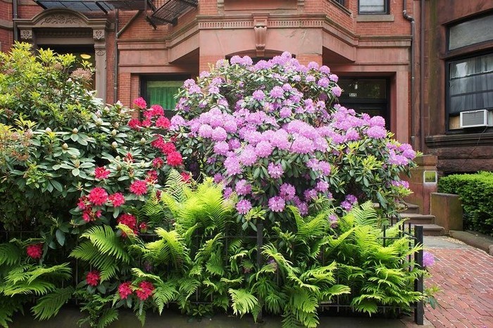 conception de parterre de fleurs