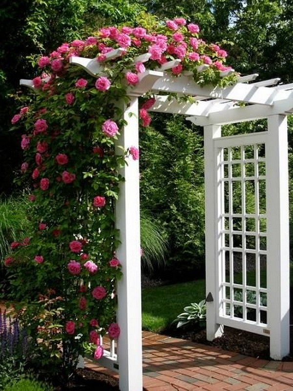 Pergola