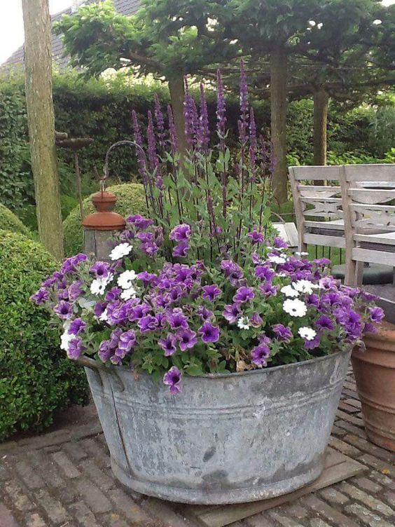 Fleurs dans un vieux seau