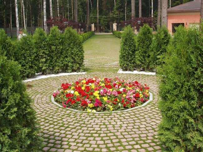parterres de fleurs à la campagne