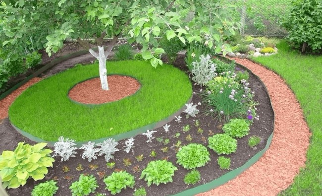 parterres de fleurs à la campagne