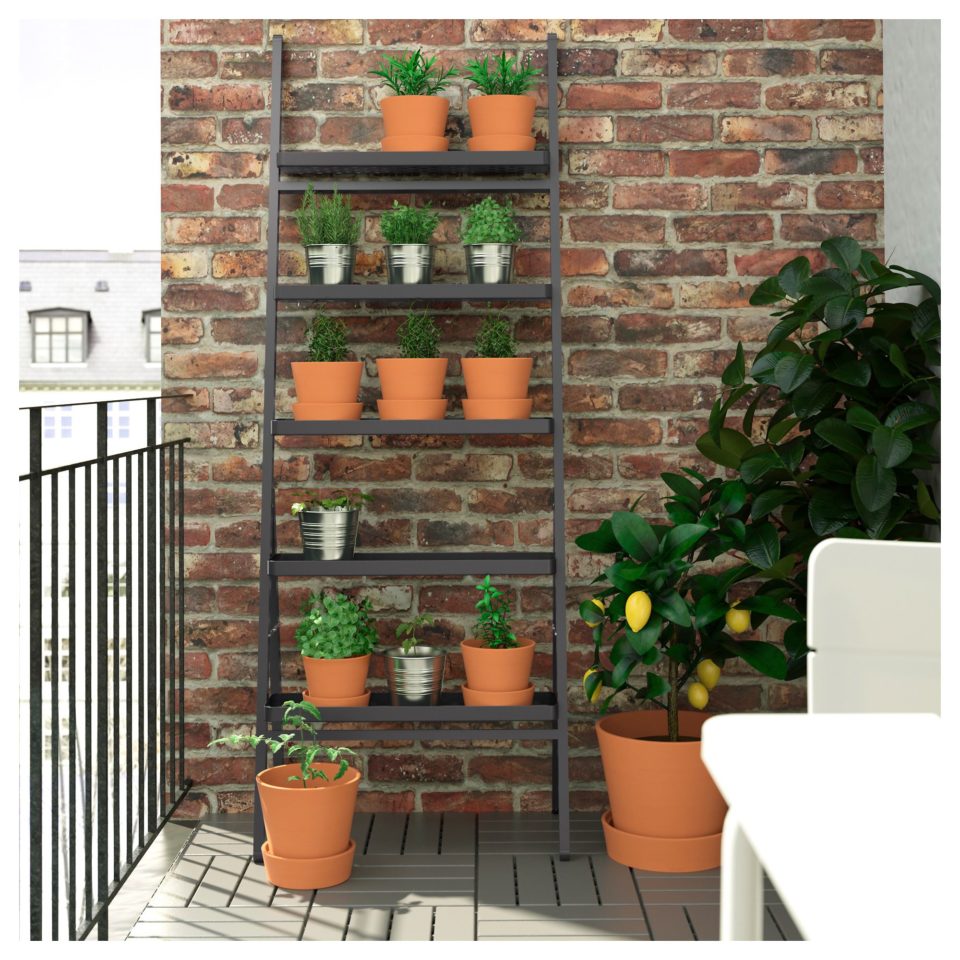 Echelle pour les fleurs