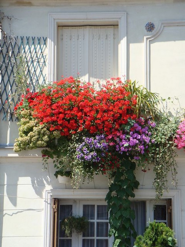 Conception de jardin de fleurs