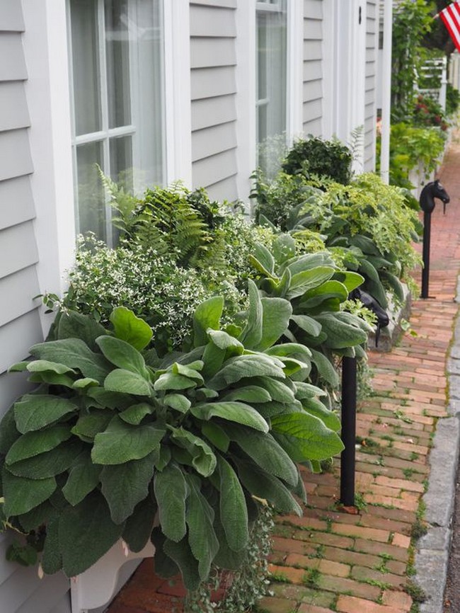 Conception de jardin de fleurs