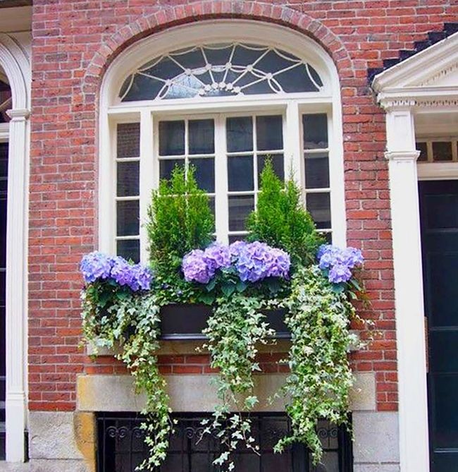 Conception de jardin de fleurs