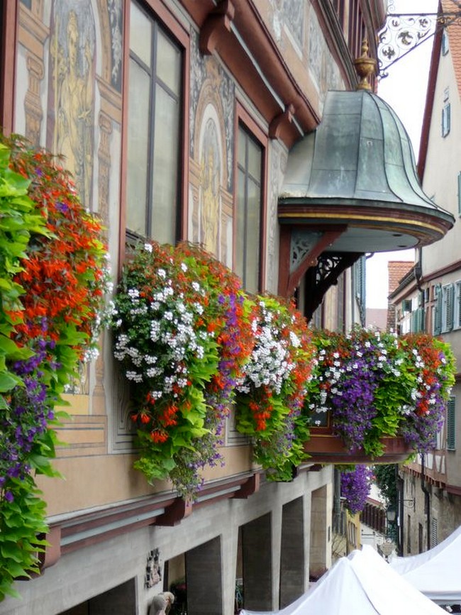 Conception de jardin de fleurs