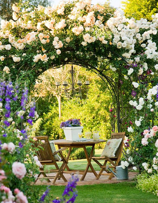 Arches de rosiers grimpants