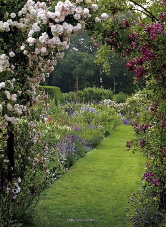 Arches de rosiers grimpants