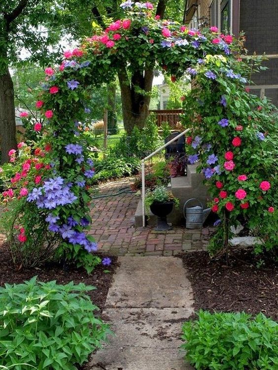 Arches de rosiers grimpants