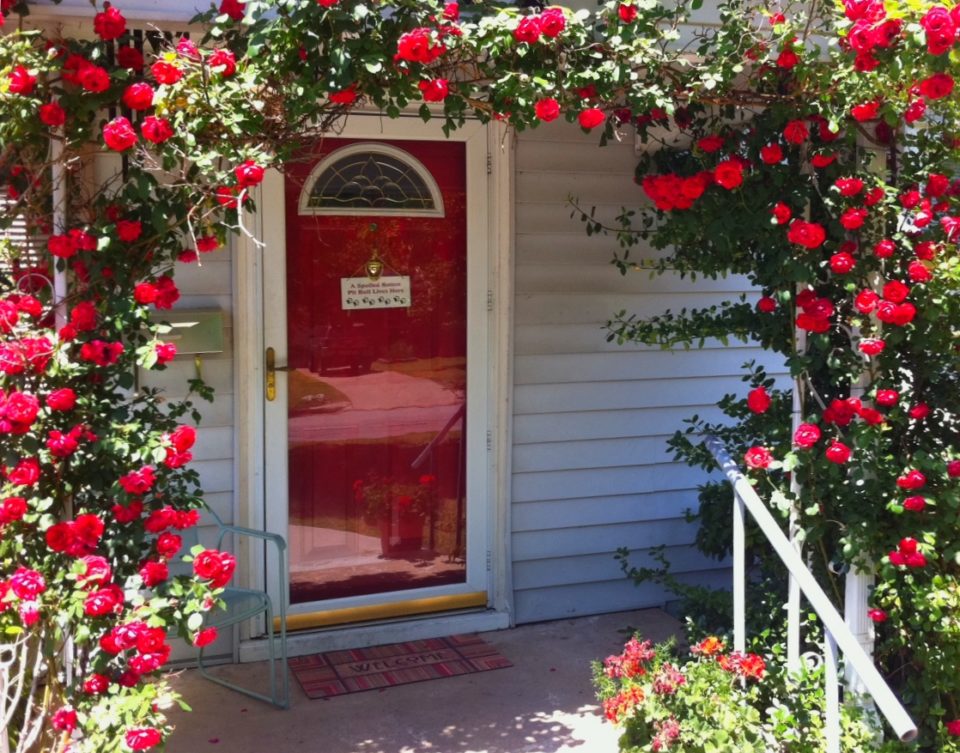 Arches de rosiers grimpants
