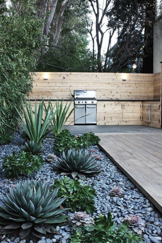 Plantes succulentes dans le parterre de fleurs