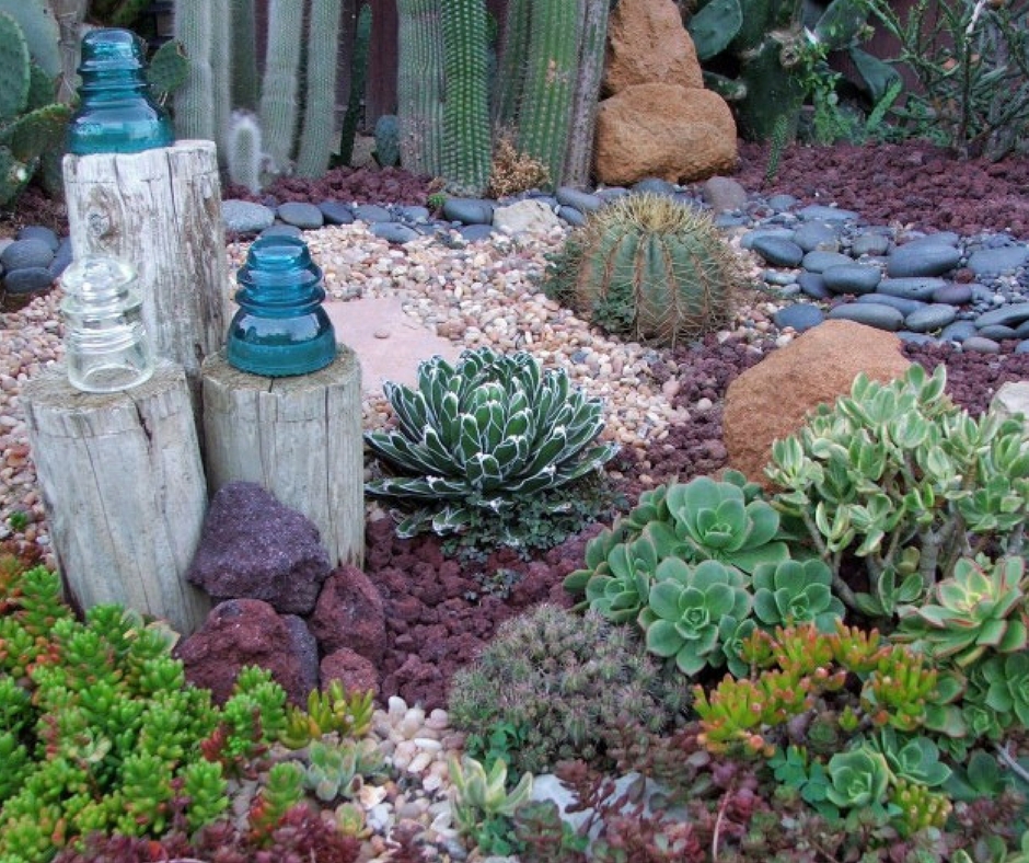 Plantes succulentes dans le parterre de fleurs