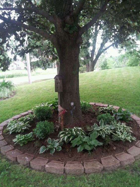 Parterre de fleurs dans le cercle du tronc