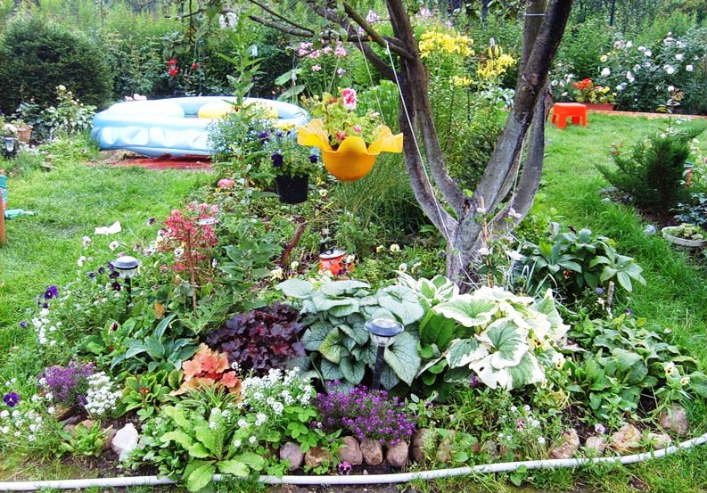Parterre de fleurs dans le cercle du tronc