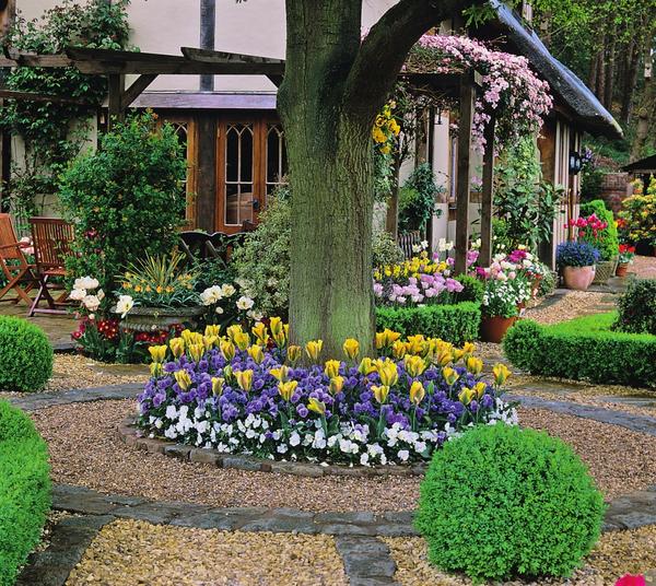 Parterre de fleurs dans le cercle du tronc