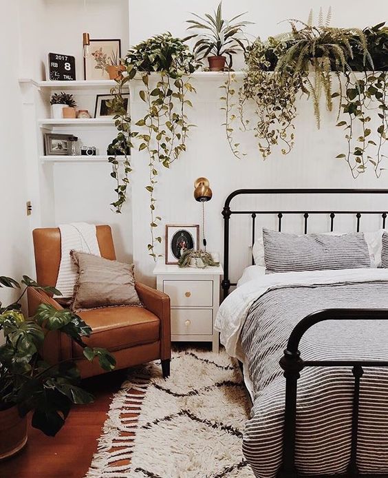 Plantes d'intérieur Ampel