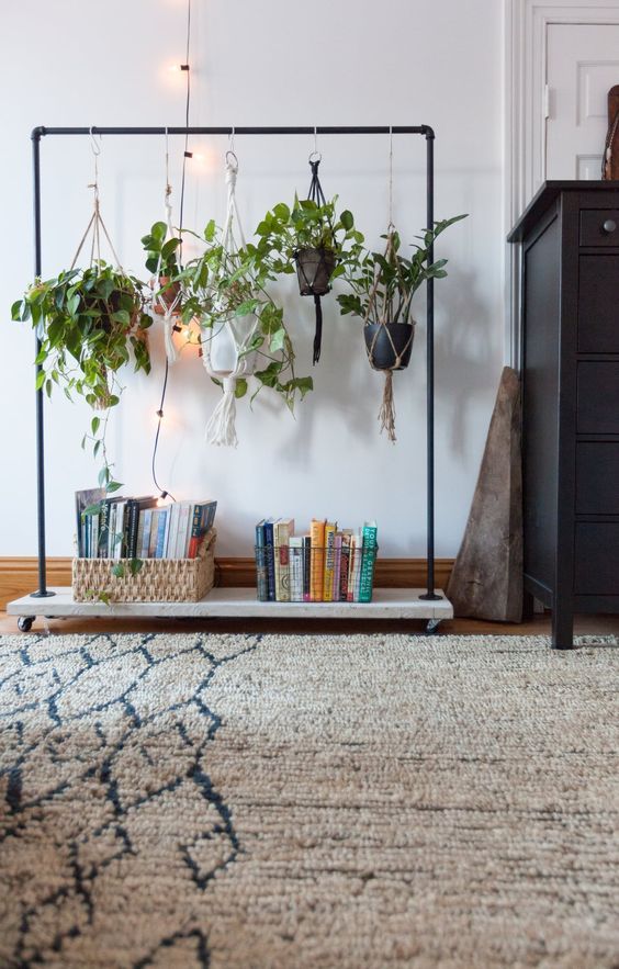 Plantes d'intérieur Ampel