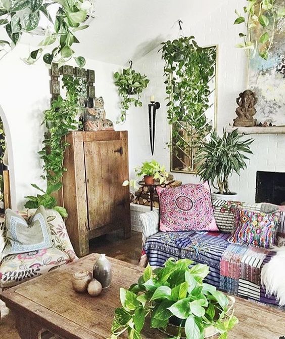 Plantes d'intérieur Ampel