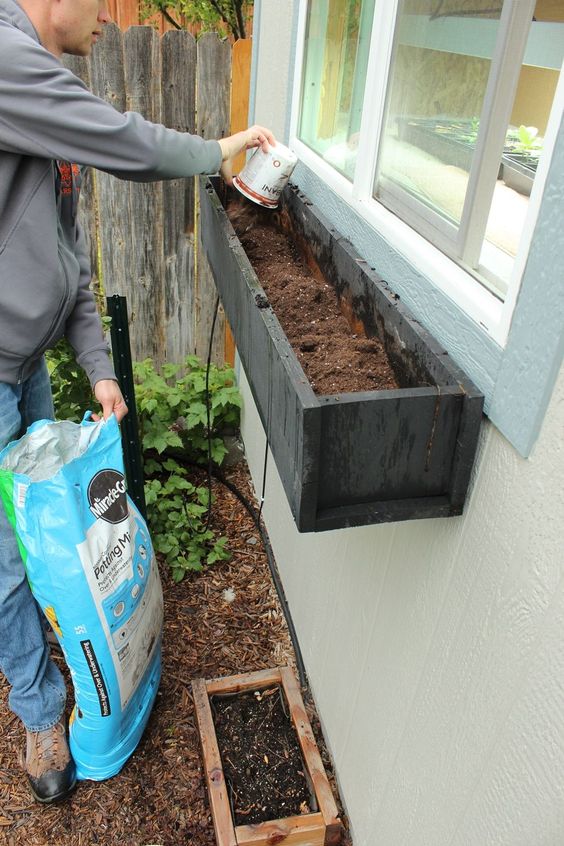 Jardin fleuri sur la fenêtre