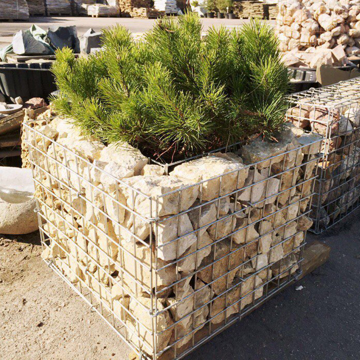 Gabion dans le jardin