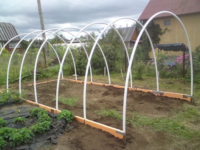 Serre faite de tuyaux en plastique