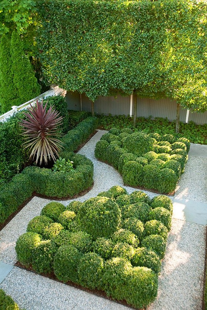 Le buis en aménagement paysager