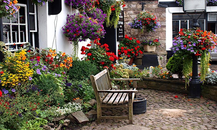 conception de site près de la maison