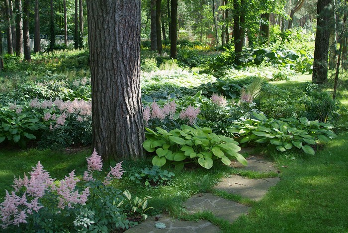 Parterres de fleurs à la campagne