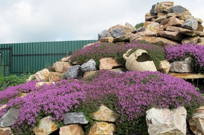 pierres pour le toboggan alpin