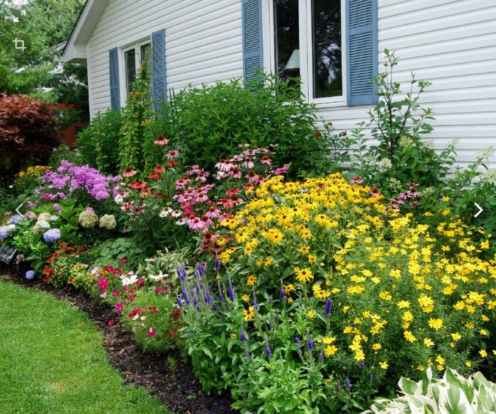 conception de parterre de fleurs