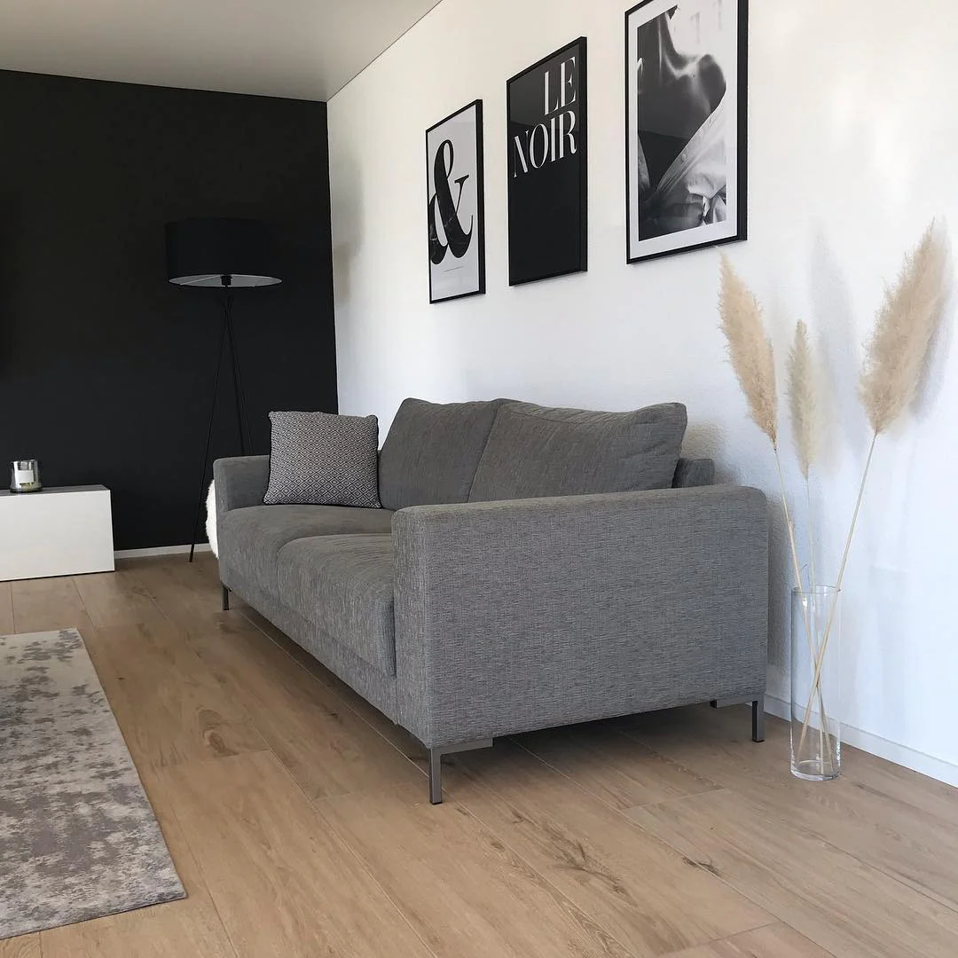 1. Minimalist Contrast with Pampas Touch (Grey, Black and White Living Room Ideas)