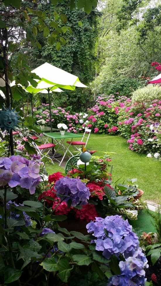 conception de parterre de fleurs